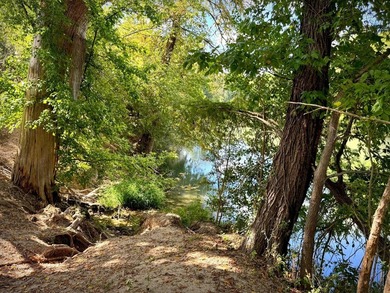 HALF-MILE RIVER FRONTAGE. Discover one of the most exceptional - photo 11