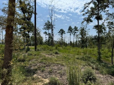 Lake Lot For Sale in Livingston, Texas