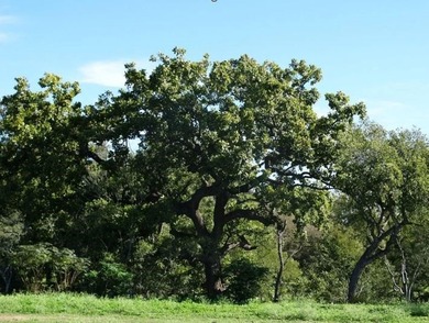 HALF-MILE RIVER FRONTAGE. Discover one of the most exceptional - photo 13