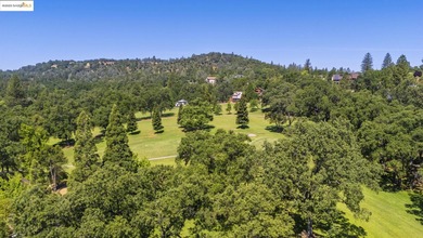 A picturesque scene with a sense of tranquility. This golf