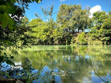 HALF-MILE RIVER FRONTAGE. Discover one of the most exceptional - photo 17