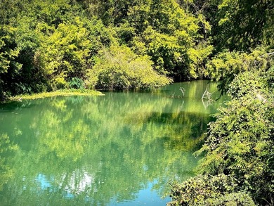 HALF-MILE RIVER FRONTAGE. Discover one of the most exceptional - photo 26
