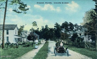 Timeless old Florida charm defines this 3 bedroom, 2 bath home - photo 34