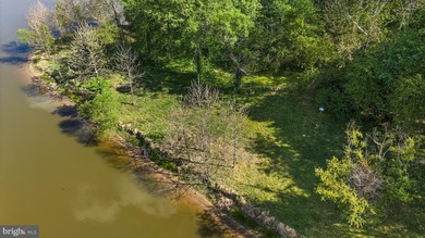 Excellent waterfront investment opportunity at Lake Anna! Over - photo 50