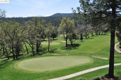 A picturesque scene with a sense of tranquility. This golf