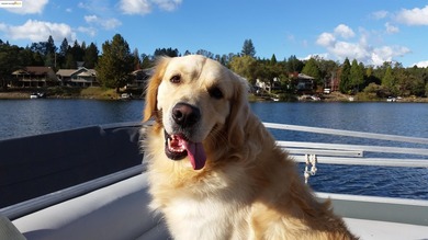 A picturesque scene with a sense of tranquility. This golf