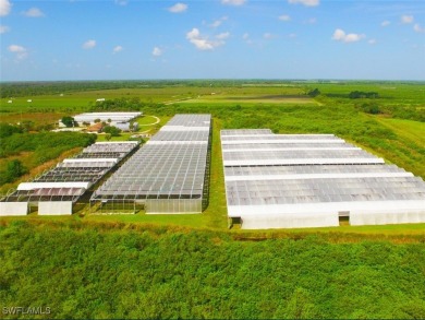 Lake Home For Sale in Immokalee, Florida