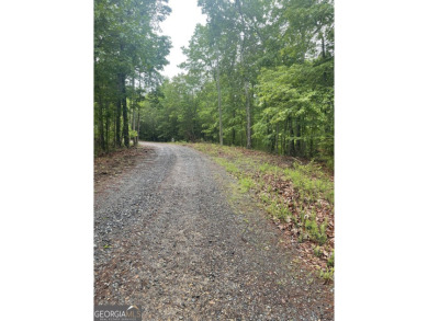 Lake Lot For Sale in Ranger, Georgia