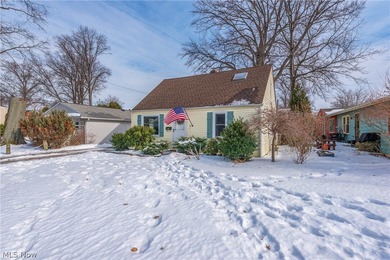 Lake Home For Sale in Avon Lake, Ohio