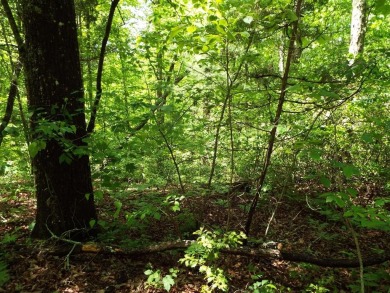 Lake Acreage For Sale in Sylva, North Carolina