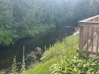 (private lake, pond, creek) Home For Sale in Farwell Michigan