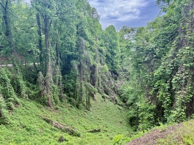 Fontana Lake Lot For Sale in Bryson City North Carolina