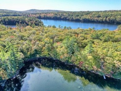 David Pond Lot For Sale in Fayette Maine