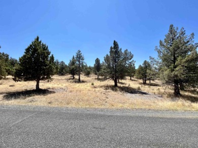 Lake Lot For Sale in Weed, California