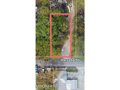 Behind Glory Bound, cleared lot. Zoning R-D Endless - photo 1
