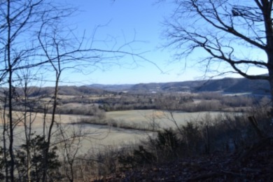 5.52 AC W/ RIVER- MTN- VALLEY VIEWS FOR MILES & MILES - photo 11
