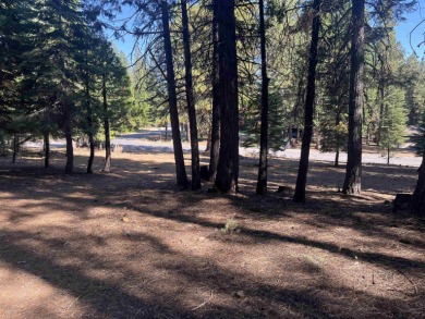 Lake Almanor Lot For Sale in Lake Almanor West California