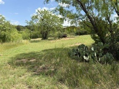 3.3 ACRES on Hubbard Creek Lake. Discover your own private - photo 35