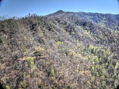 Nestled beside the Nantahala National Forest, this private - photo 1