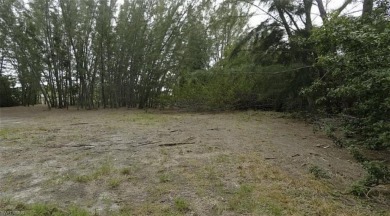 (private lake, pond, creek) Lot For Sale in ST. James City Florida