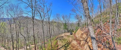 Nestled beside the Nantahala National Forest, this private - photo 2