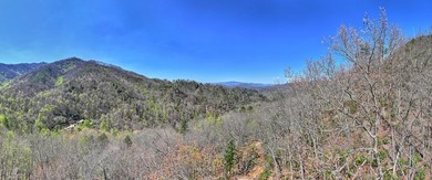 Nestled beside the Nantahala National Forest, this private - photo 3