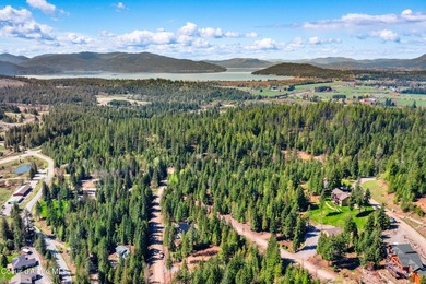 Perched above The Idaho Club, this exceptional luxury home - photo 44