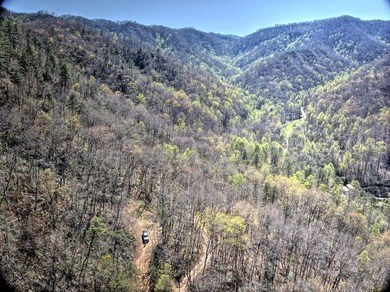 Nestled beside the Nantahala National Forest, this private - photo 7