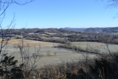 5.52 AC W/ RIVER- MTN- VALLEY VIEWS FOR MILES & MILES - photo 17