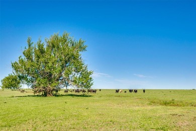 Prime investment opportunity. 61+/- acres along the Hwy 377 - photo 5