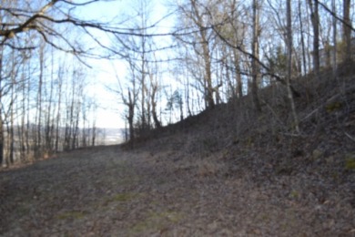 5.52 AC W/ RIVER- MTN- VALLEY VIEWS FOR MILES & MILES - photo 8