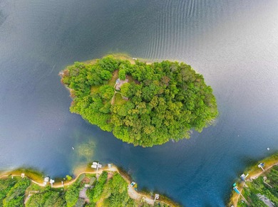 Here is your once-in-a-lifetime opportunity to own an entire - photo 3
