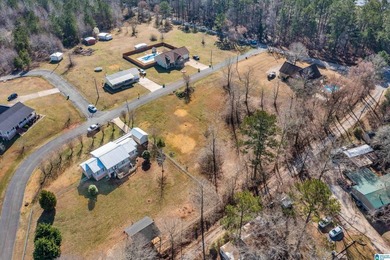 Stop dreaming and start digging! Level .51+/- Acre lot in Lay - photo 17