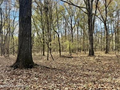 Just outside of Flora, this remarkable 560+/- acre tract offers - photo 4
