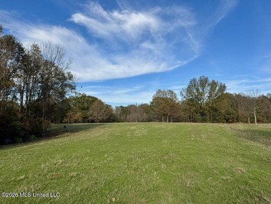 Just outside of Flora, this remarkable 560+/- acre tract offers - photo 6