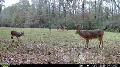 Just outside of Flora, this remarkable 560+/- acre tract offers - photo 8