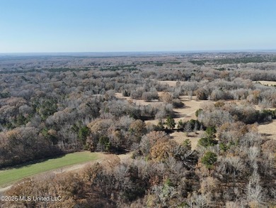 Just outside of Flora, this remarkable 560+/- acre tract offers - photo 9