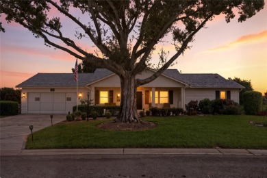 Lake Home For Sale in Leesburg, Florida