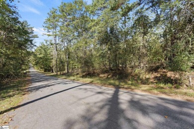 Lake Lot For Sale in Townville, South Carolina