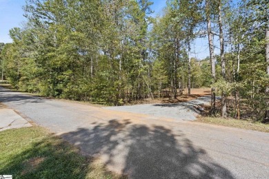 Lake Lot For Sale in Townville, South Carolina