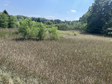 Lake Allegan Acreage For Sale in Allegan Michigan