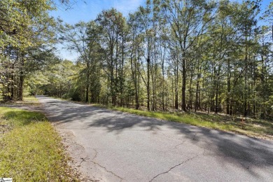 Lake Lot For Sale in Townville, South Carolina