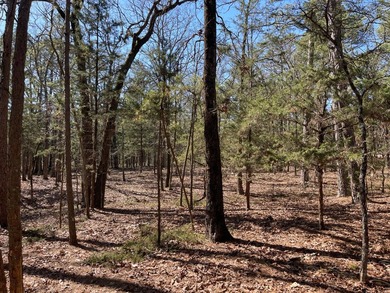 Discover your own private escape in the heart of the Kiamichi - photo 22