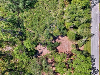 Port Charlotte Waterway Area Lot For Sale in Port Charlotte Florida