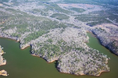 Macallan Real Estate is pleased to present the Lake Martin - photo 1