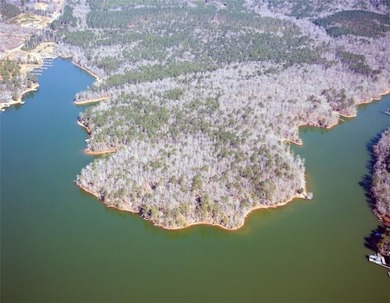 Macallan Real Estate is pleased to present the Lake Martin - photo 4
