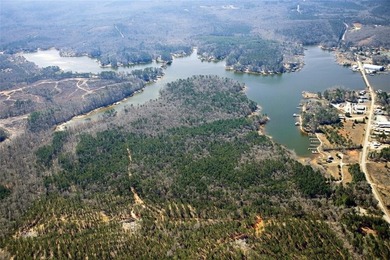 Macallan Real Estate is pleased to present the Lake Martin - photo 6
