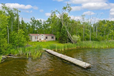 Fletcher Pond Lake Home Active Under Contract in Lachine Michigan