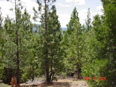 Lake Davis Lot For Sale in Lake Davis California