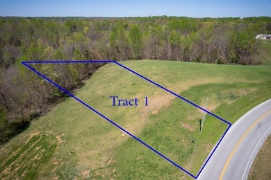 (private lake, pond, creek) Acreage For Sale in Pleasant Shade Tennessee